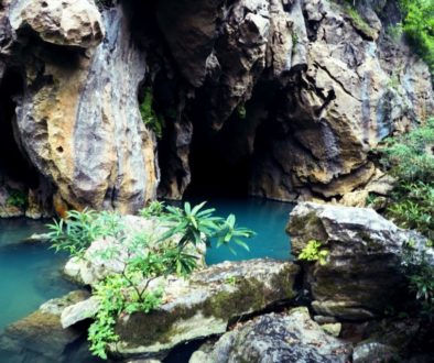 Natur Pur im Phong Nha Ke Bang Nationalpark